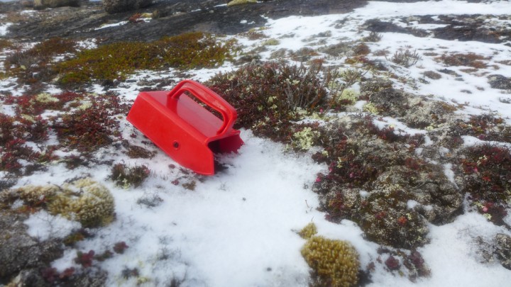 Photo by Katherine Breen_Blueberry Scoop in the Snow