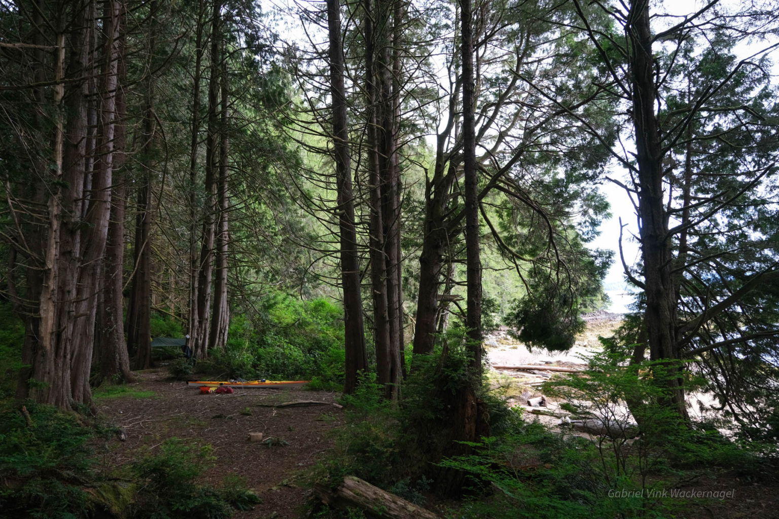 Discovering the Broken Group Islands Duct Tape Diaries NRS